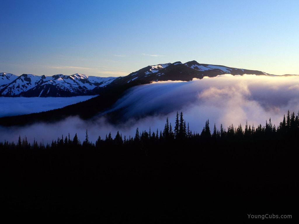 Fog and Olympic Mountains, Olympic National Park, Washington